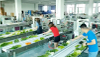 Efficient vegetables pillow packing machine